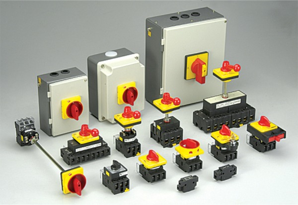 Salzer Cam operated Rotary Switches Suppliers in Gurugram